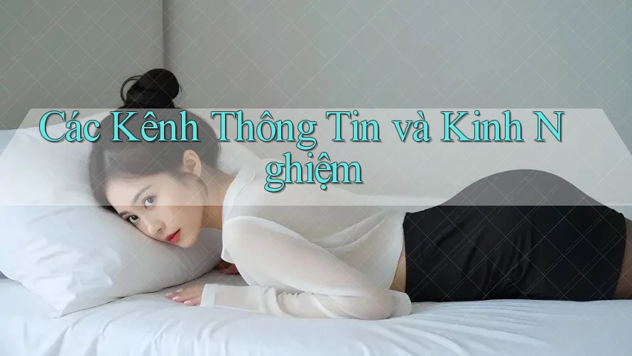 Các Kênh Thông Tin và Kinh Nghiệm