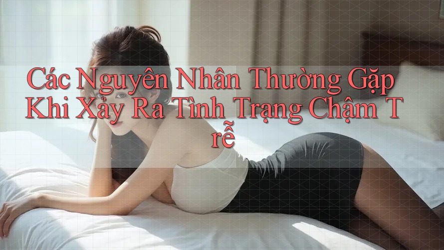 Các Nguyên Nhân Thường Gặp Khi Xảy Ra Tình Trạng Chậm Trễ