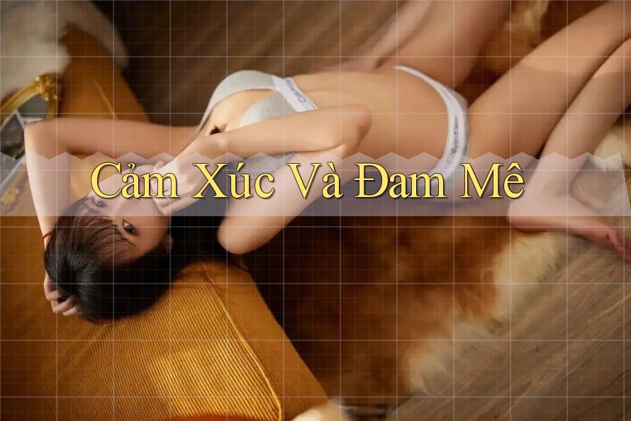 Cảm Xúc và Đam Mê