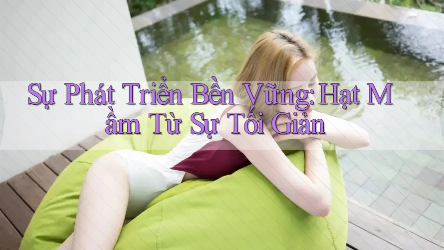 Sự Phát Triển Bền Vững: Hạt Mầm Từ Sự Tối Giản