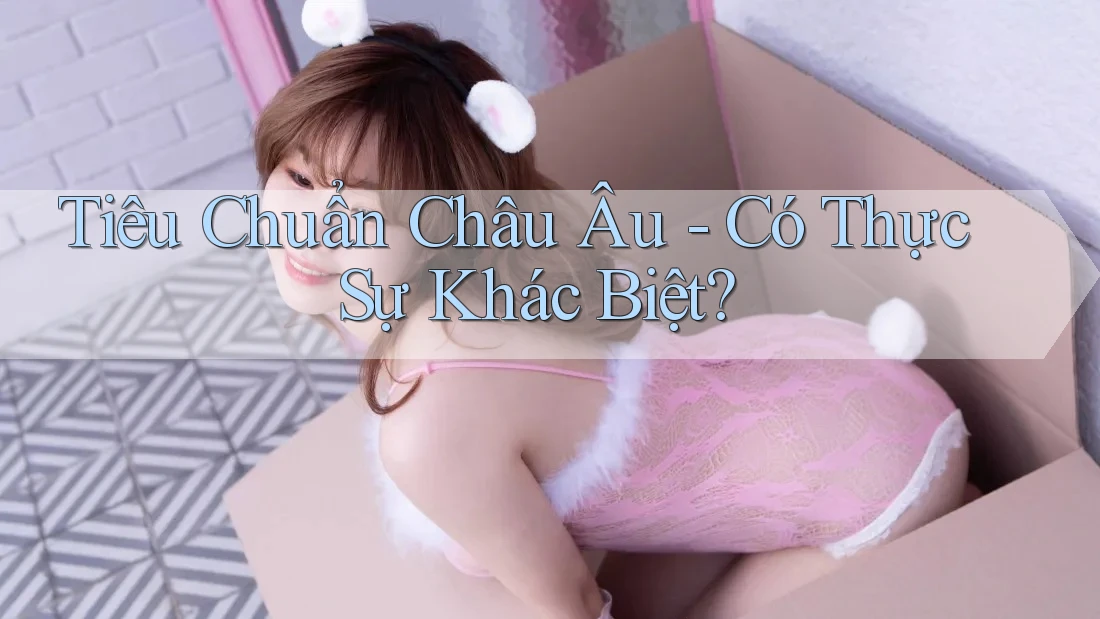 Tiêu Chuẩn Châu Âu - Có Thực Sự Khác Biệt?