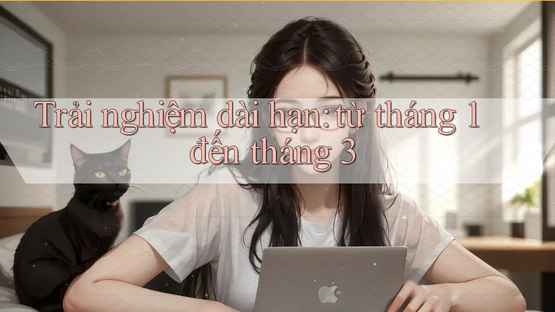 Trải nghiệm dài hạn: từ tháng 1 đến tháng 3