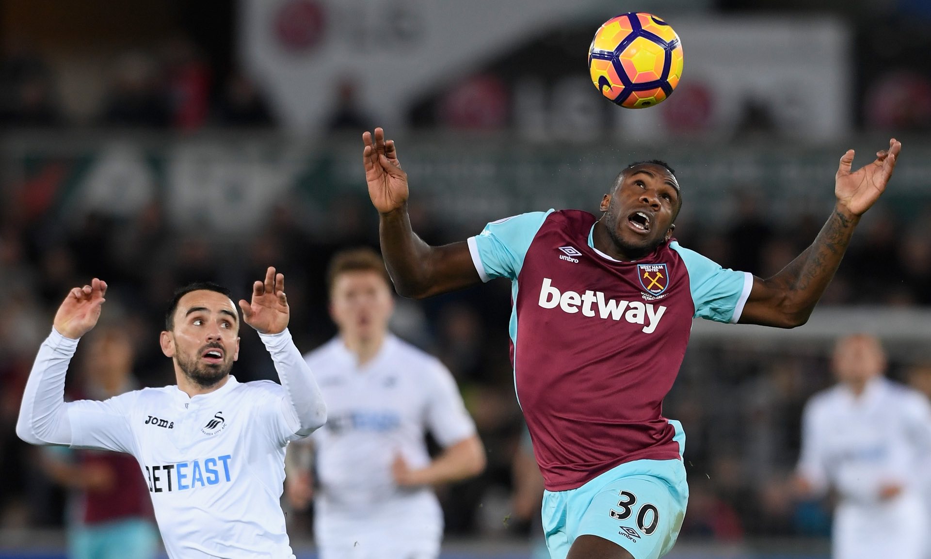 與博洛尼亞 與博洛尼亞